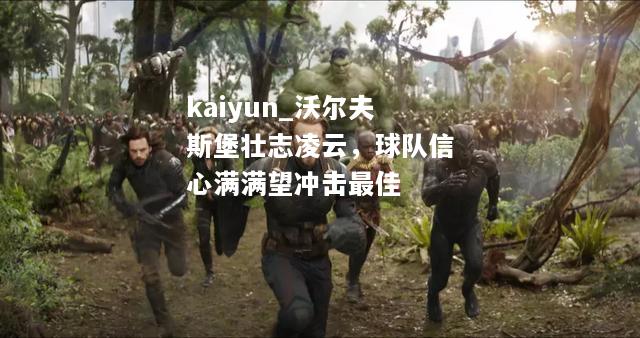 kaiyun_沃尔夫斯堡壮志凌云，球队信心满满望冲击最佳  第2张
